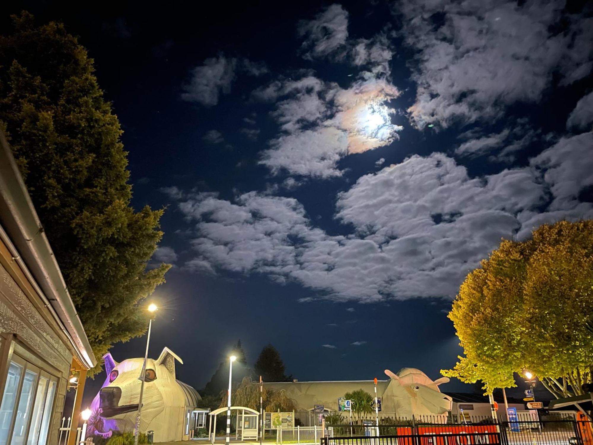 Tirau Motor Inn 외부 사진
